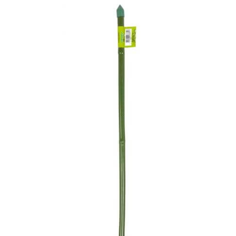 1 Tutor Canna Bamboo Plastifiziert Verde 60Cm