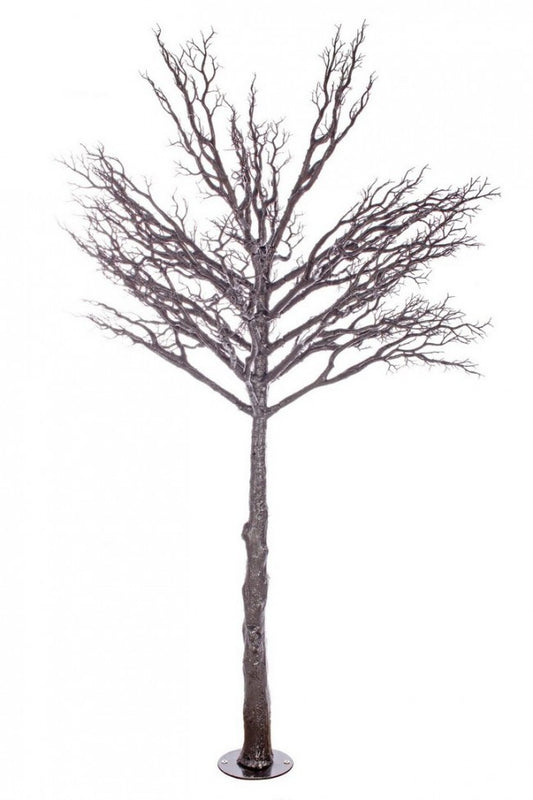 Wiener H230 Schwarzer Baum